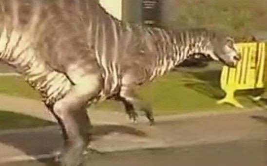 新西兰活捉一只恐龙 有证据显示恐龙仍未灭绝