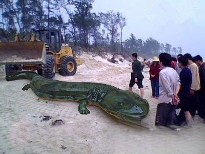 挖掘机挖出16米长巨蛇图片 巨蛇吸食龙脉百年（司机当场吓死）